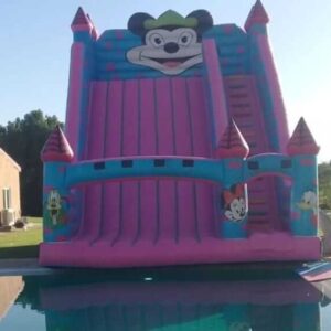 Micky Slide For Pool