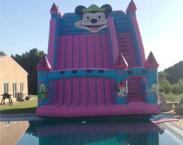 Micky Slide For Pool